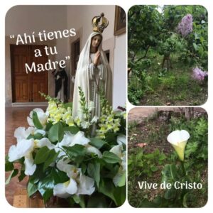 Hoy, el Reto del Amor es que le Lleves Flores a una Imagen de la Virgen