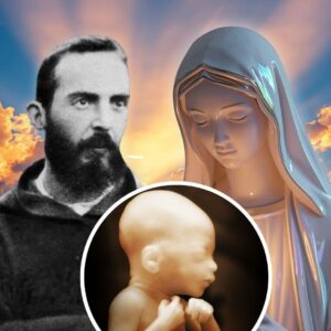 “Ella vendrá a ti”: La Historia de una Niña por Nacer que la Virgen Encomendó al Padre Pío