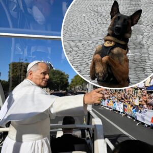 Alfoz, el Perro de la Guardia Civil, que Llegó Desde España a Francia Para Cuidar al Papa León